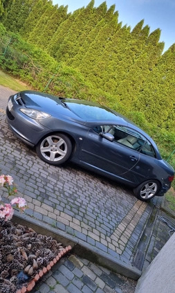 Peugeot 307 CC cena 9800 przebieg: 316000, rok produkcji 2004 z Aleksandrów Łódzki małe 154